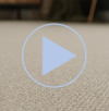Hyde Park carpet video  Hyde Park carpet video